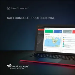 DataLocker SafeConsole Professional Server - License - 3 Year