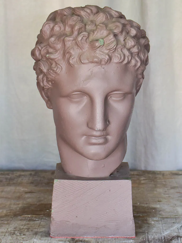 Plaster Bust of a Young Male