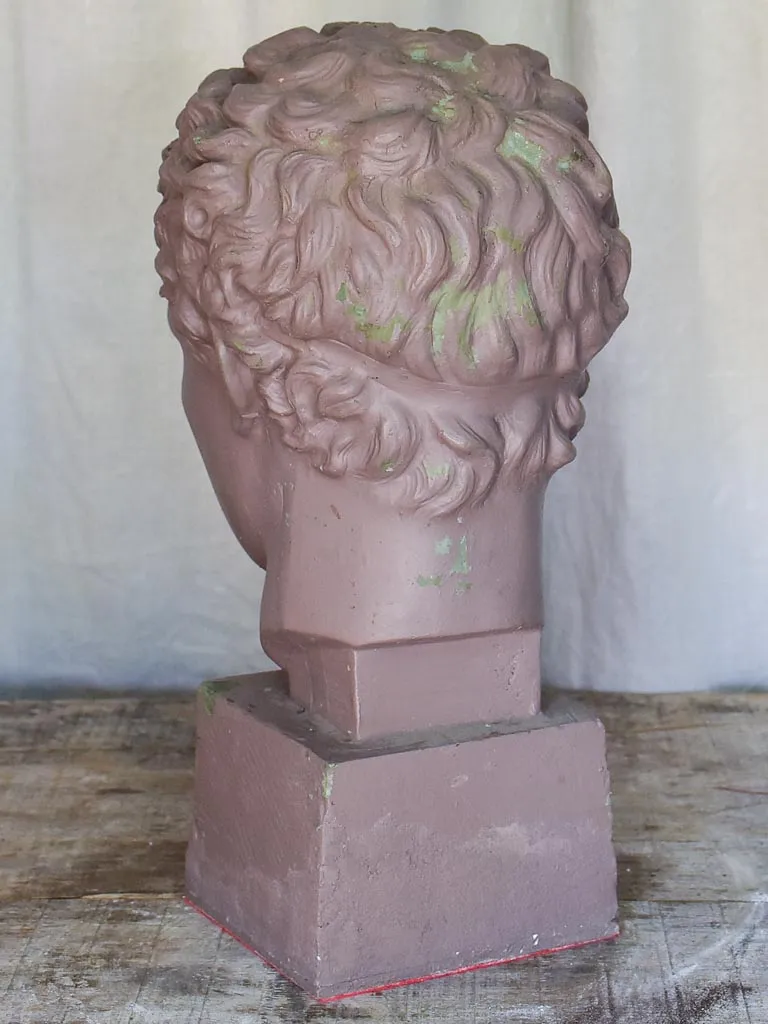 Plaster Bust of a Young Male