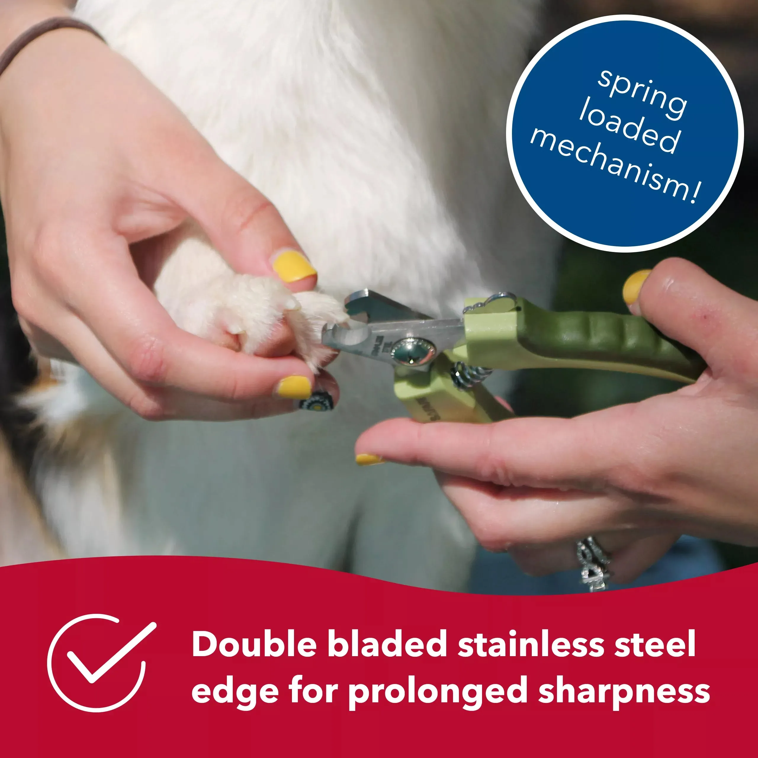 Safari Stainless Steel Professional Nail Trimmer for Large Dogs