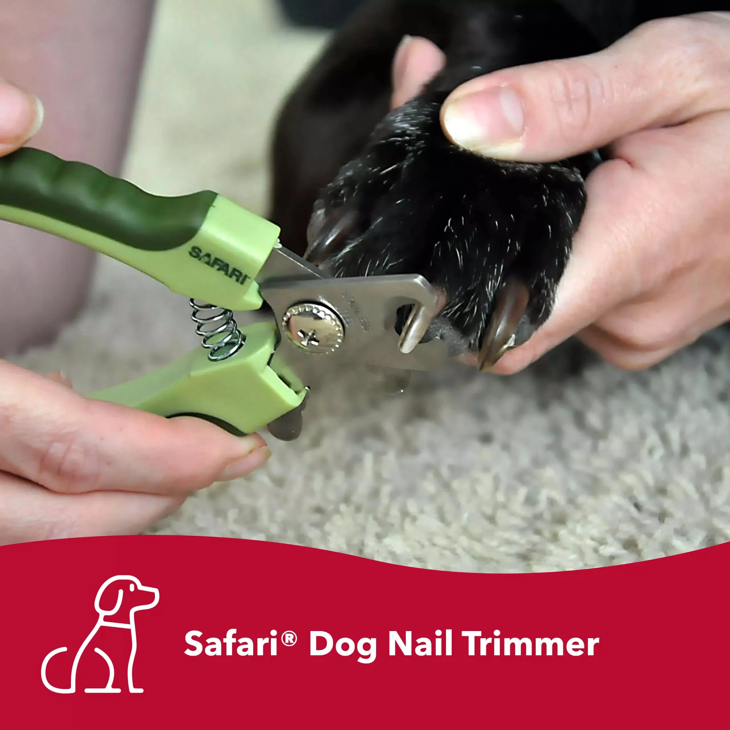 Safari Stainless Steel Professional Nail Trimmer for Small Dogs