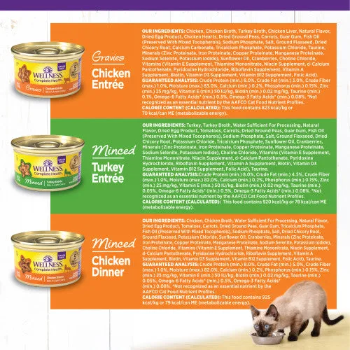 Wellness Complete Health Natural Grain Free Wet Cat Food Variety Pate Recipes Chicken & Turkey Lovers (3 oz case of 12)